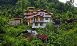 ماجرای شایعه تصویب بلند مرتبهسازی در جنگلهای شمال چیست؟