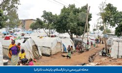 هشدار درباره تشدید ناترازی مسکن و انرژی در شهرهای اصلی: پایتخت‌ها زیر بار مهاجران اقلیمی