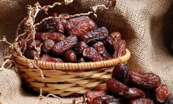 مهمترین انواع خرما در جهان و ارقام مهم آن در ایران