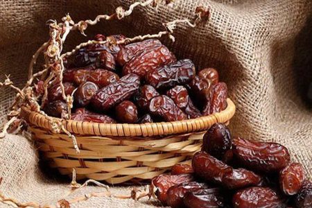 مهمترین انواع خرما در جهان و ارقام مهم آن در ایران