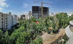 ضوابط دهه۹۰ برای زمینهای مشجر به نفع شهروندان تمام شد یا به ضرر؟